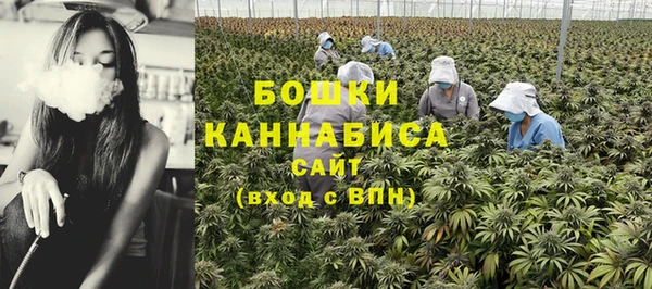 соль ск Михайлов